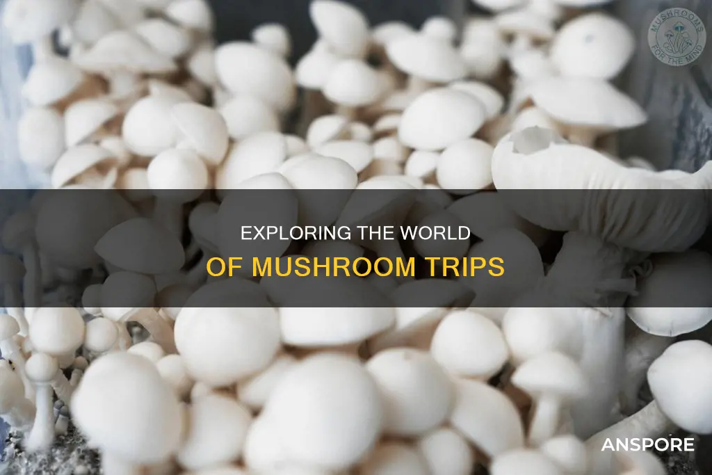 how do people do mushrooms