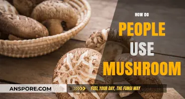 Exploring Mushroom Uses: Culinary, Medicinal, and Beyond