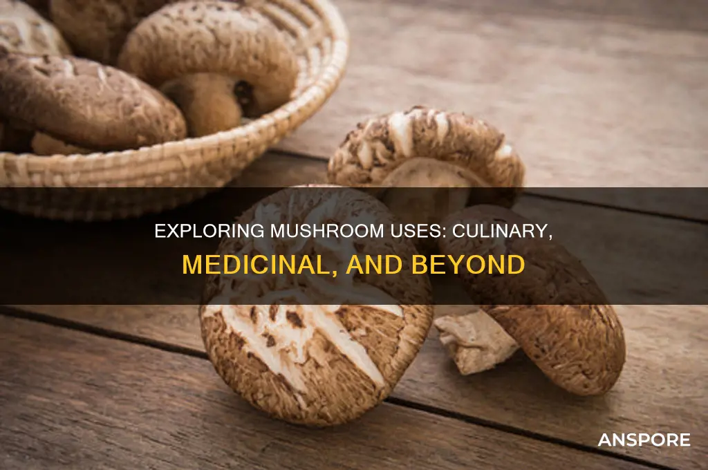 how do people use mushrooms