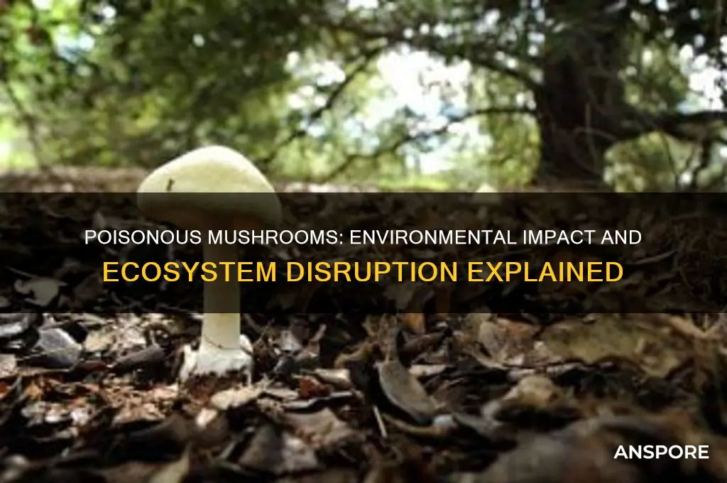 how do poisonous mushrooms affect the environment