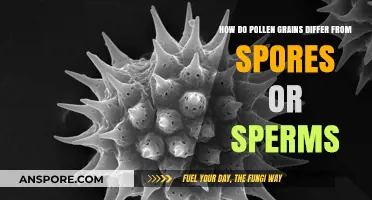 Pollen vs. Spores vs. Sperm: Key Differences Explained