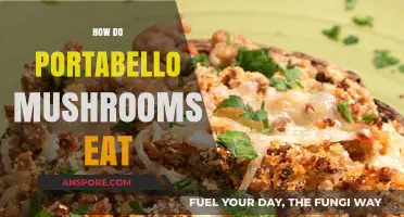 How Portobello Mushrooms Absorb Nutrients: A Fascinating Feeding Process