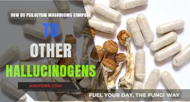 Psychedelics Compared: Magic Mushrooms and Other Hallucinogens