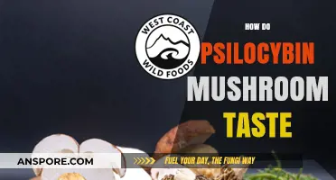 Mushroom Trip: The Taste of Magic