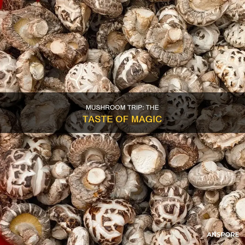 how do psilocybin mushrooms taste