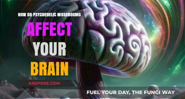 Psychedelic Mushrooms: Brain Chemistry and the Mind's Eye