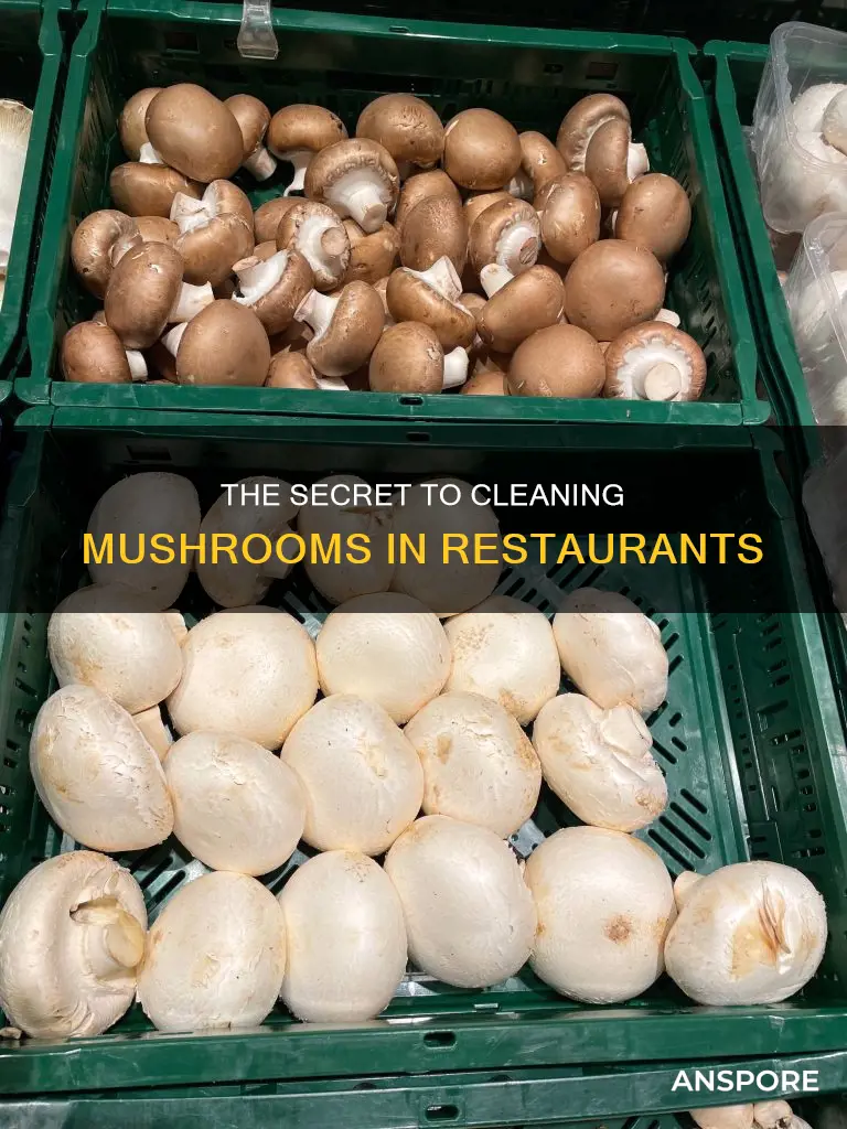 how do resturants wash mushrooms