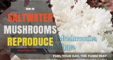 Saltwater Mushrooms: Reproduction and Growth