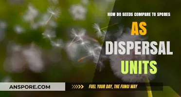 Seeds vs. Spores: Comparing Nature's Dispersal Strategies and Survival Tactics