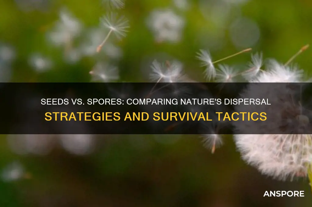 how do seeds compare to spores as dispersal units