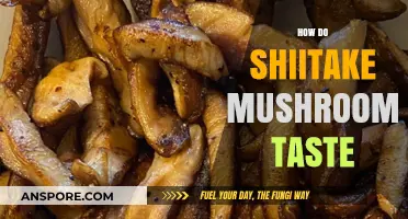 Shiitake Mushrooms: What's the Flavor?