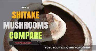 Shitake Mushrooms: A Nutritional Comparison