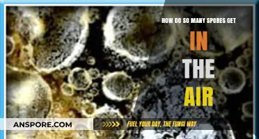 Unseen Airborne Spores: How Do They Dominate Our Atmosphere?