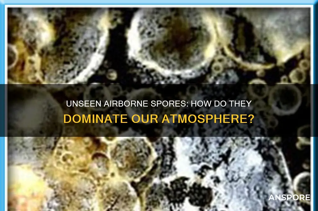 how do so many spores get in the air