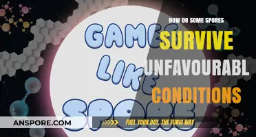 Surviving the Odds: How Spores Endure Unfavorable Conditions