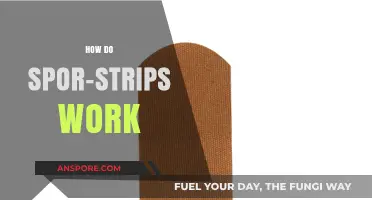 Understanding Spor-Strips: How These Innovative Adhesive Bandages Work
