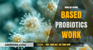 Unlocking Gut Health: The Science Behind Spore-Based Probiotics Explained