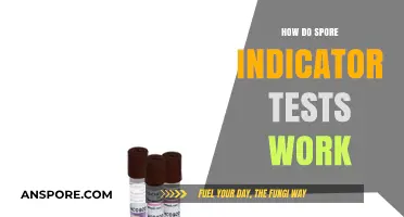 Understanding Spore Indicator Tests: Functionality and Applications in Sterilization