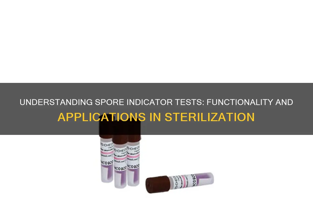 how do spore indicator tests work