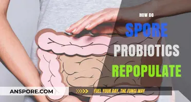 How Spore Probiotics Repopulate Gut Flora for Optimal Health