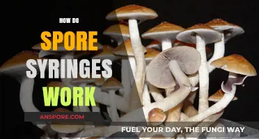Understanding Spore Syringes: Mechanism, Uses, and Effective Application Techniques