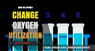 Unveiling Spores' Role in Altering Oxygen Utilization: A Comprehensive Guide