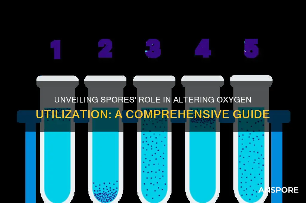 how do spores change oxygen utilization