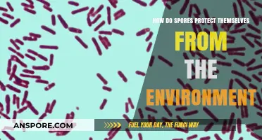 How Spores Survive: Nature's Ingenious Environmental Defense Mechanisms