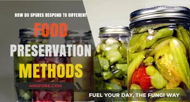 Spores and Preservation: How Food Safety Methods Impact Their Survival