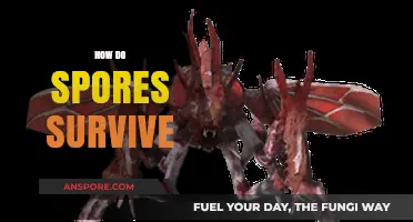 Unraveling the Secrets: How Spores Survive Extreme Conditions