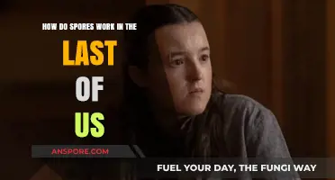 Unraveling the Fungal Apocalypse: How Spores Drive The Last of Us