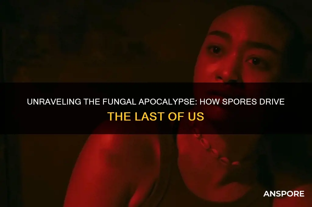 how do spores work in the last of us