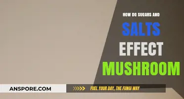 Sugars and Salts: Friend or Foe to Mushrooms?