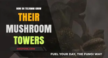 Unveiling Telvanni's Secrets: The Art of Growing Mushroom Towers