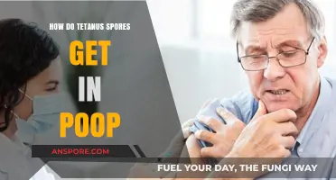 Understanding Tetanus Spores: How They End Up in Human Feces