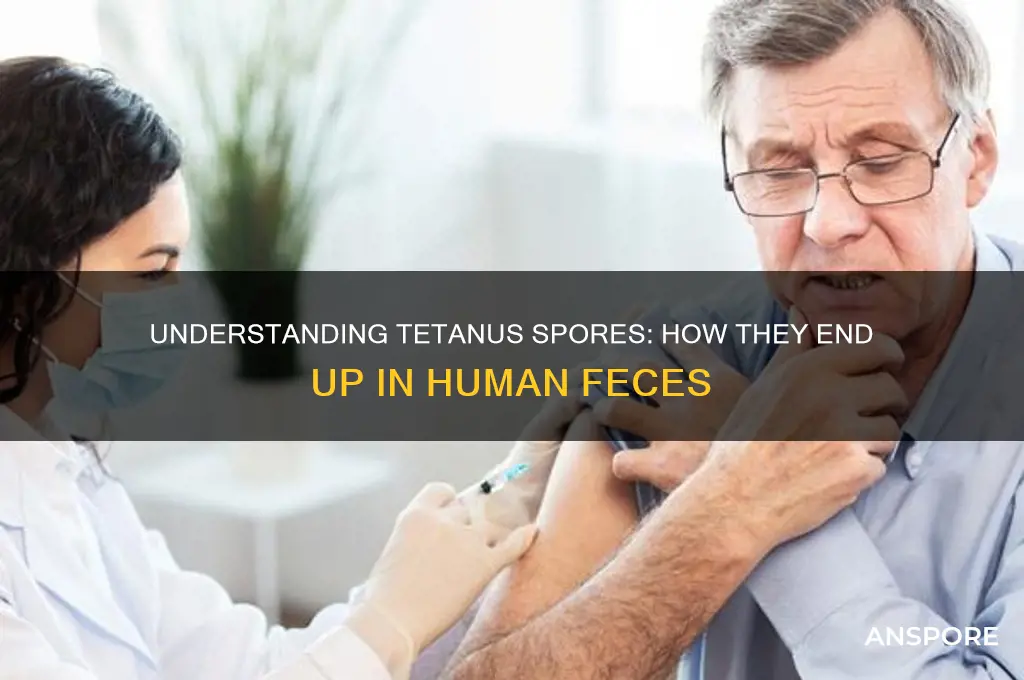 how do tetanus spores get in poop
