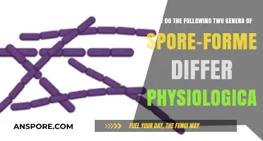 Physiological Differences Between Bacillus and Clostridium Spore-Forming Genera