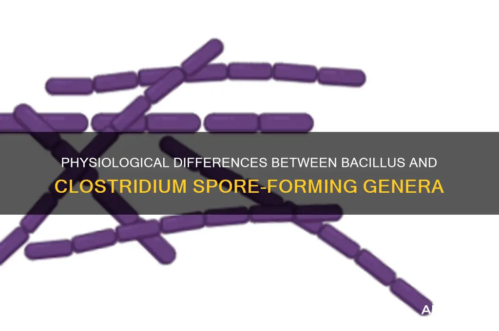 how do the following two genera of spore-formers differ physiologically