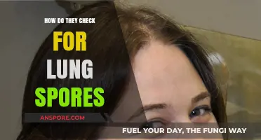 Detecting Lung Spores: Methods and Procedures for Accurate Diagnosis