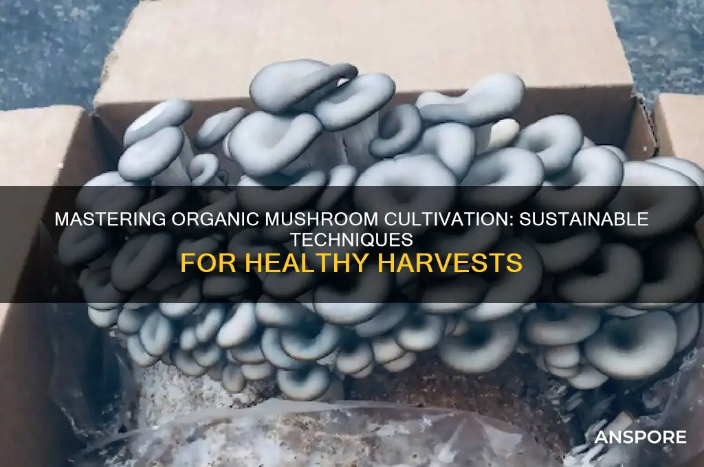 how do they grow organic mushrooms