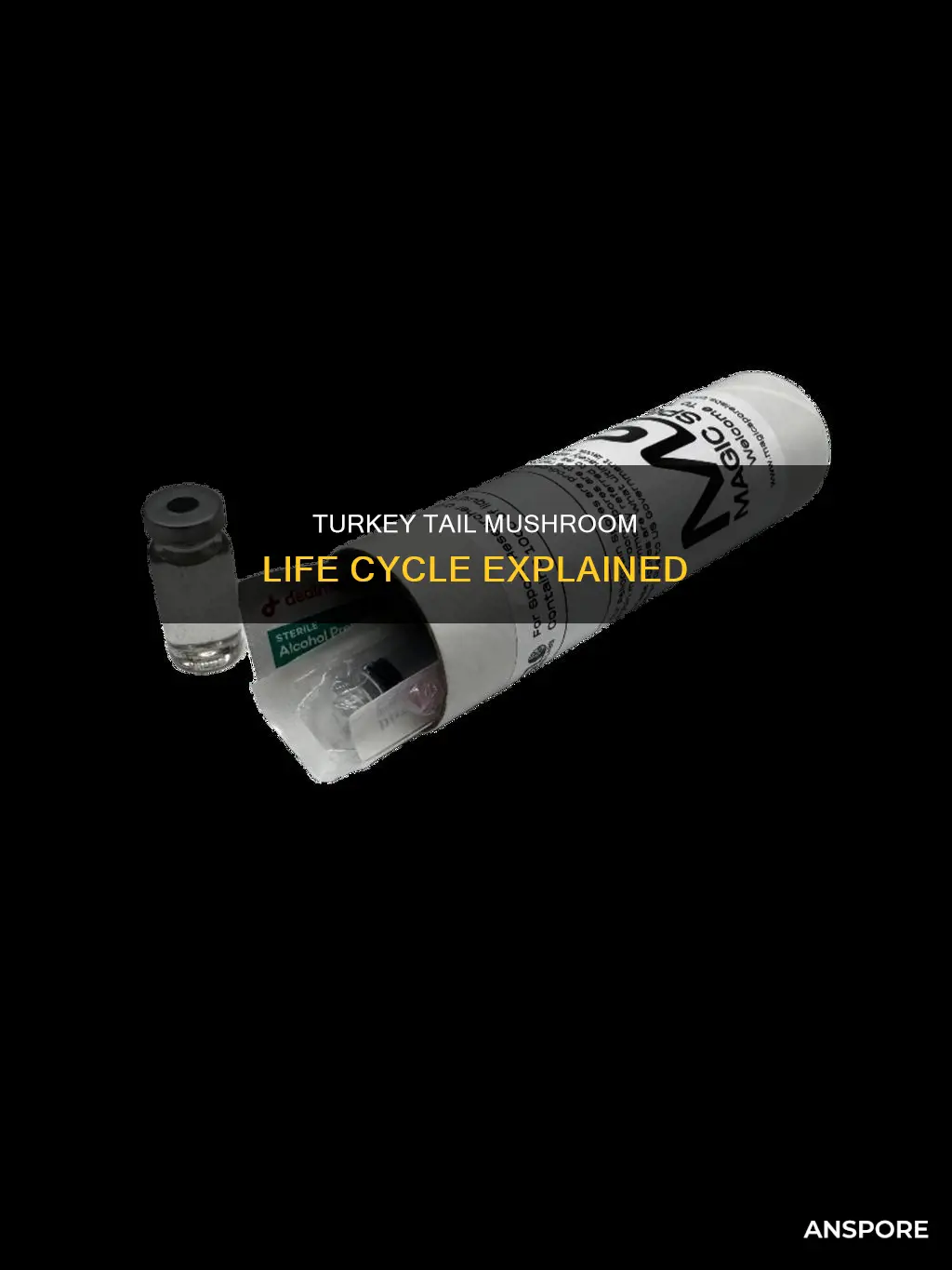 how do turkey tail mushrooms reproduce