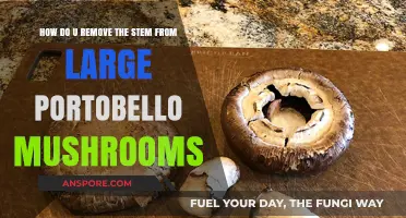 Effortless Portobello Prep: Removing Stems from Large Mushrooms Easily
