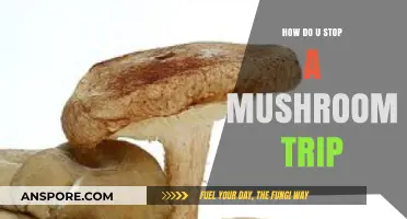 Calmly Navigate Your Way Out of a Mushroom Trip