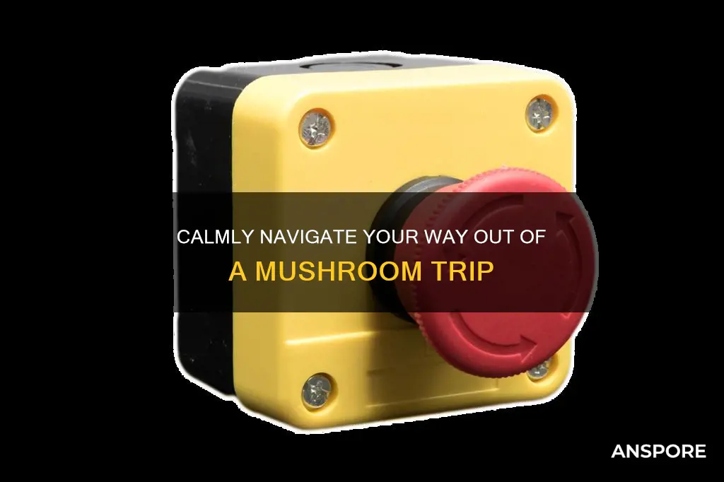 how do u stop a mushroom trip