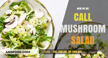 Mushroom Magic: Salads and Their Names