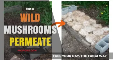 Mushroom Mysteries: Wild Growth and Permeation