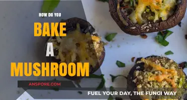 Mushroom Baking 101: A Tasty Guide