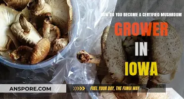 Certified Mushroom Grower in Iowa: Steps to Start Your Journey