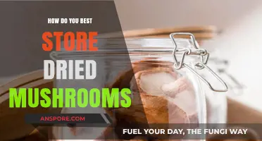 The Best Way to Store Dried Mushrooms