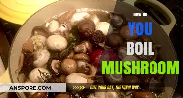The Ultimate Guide to Boiling Mushrooms